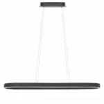 Hanglamp zwart Eclipse