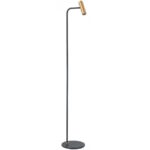 Vloerlamp zwart-goud Trend 1 lichts